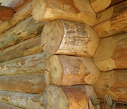 Assemblage en tÃªte de bÃ©lier