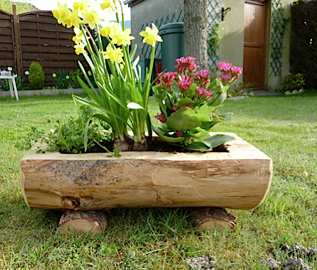 Petit modÃ¨le fleuri